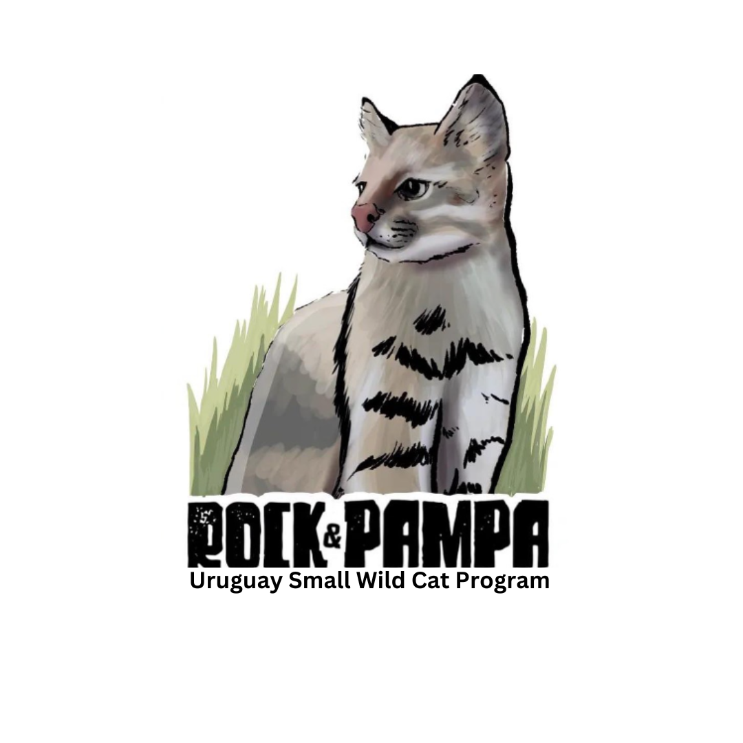 Rock and Pampa