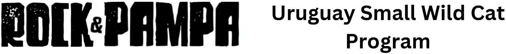 Rock & Pampa Logo