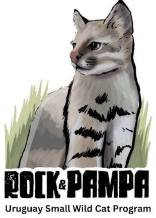 Rock & Pampa - Uruguay Small Wild Cat Program